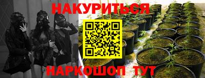 индика Коммунар