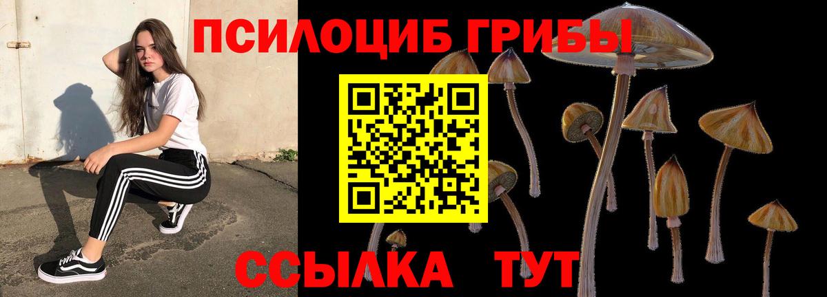 Псилоцибиновые грибы ЛСД Красноармейск